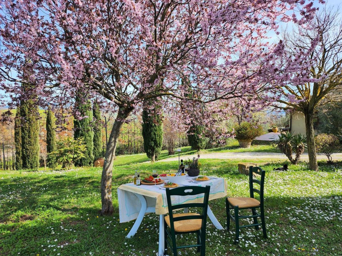 Agriturismo Lucertola Montecatini Val di Cecina Dış mekan fotoğraf