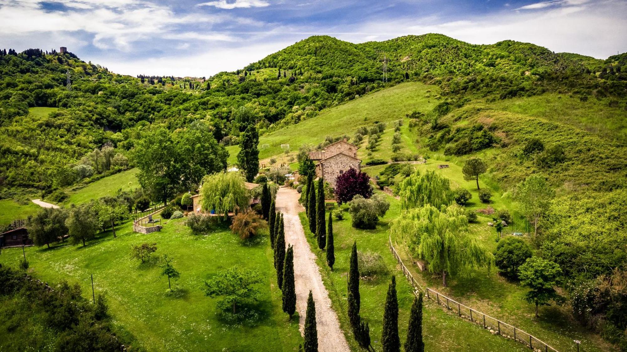 Agriturismo Lucertola Montecatini Val di Cecina Dış mekan fotoğraf